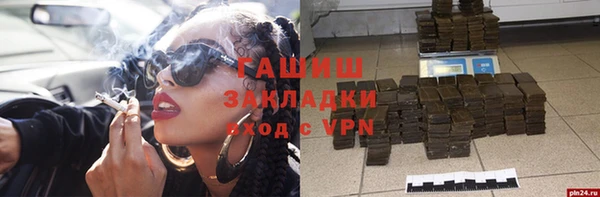 сатива Покачи