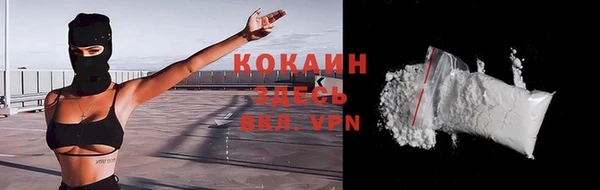 сатива Покачи