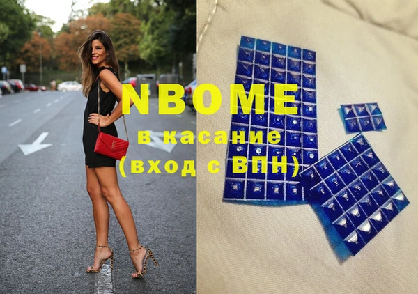 сатива Покачи